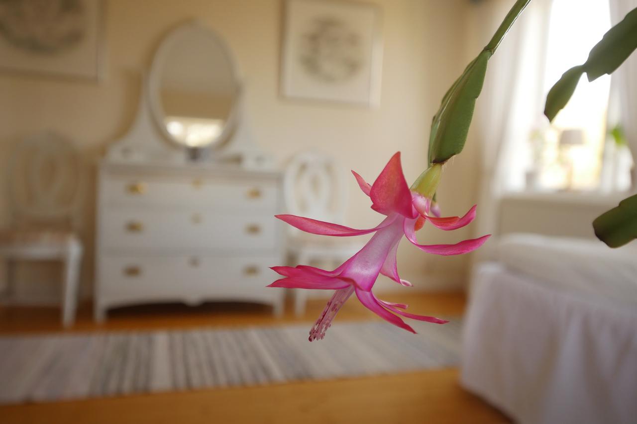 Bed and Breakfast Groena Anaes ostra Loa Екстер'єр фото