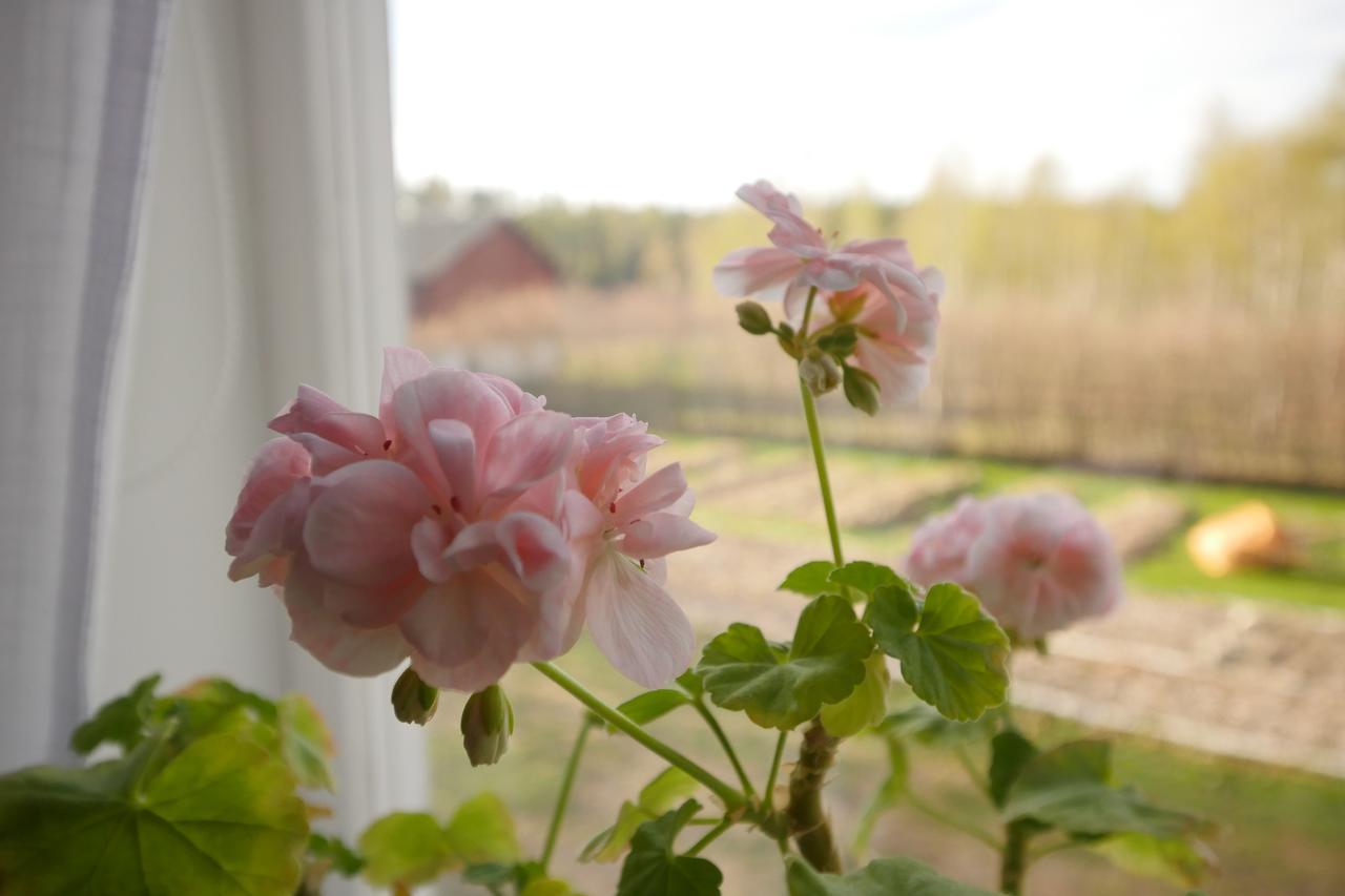 Bed and Breakfast Groena Anaes ostra Loa Екстер'єр фото